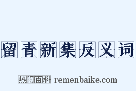 留青新集反义词是什么意思的图片